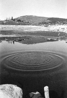 Ver siguiente imagen