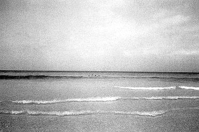 Ver siguiente imagen