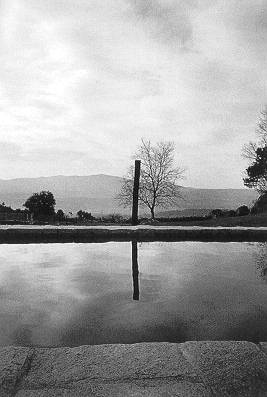 Ver siguiente imagen