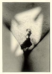 Volver a "Sueltos de amor y otras carnes"