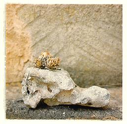 Ver imagen siguiente